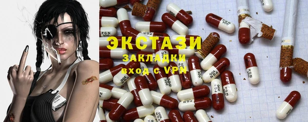 ECSTASY Богородицк